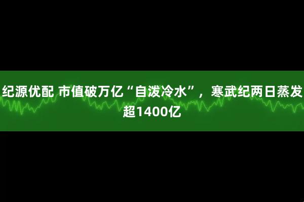 纪源优配 市值破万亿“自泼冷水”，寒武纪两日蒸发超1400亿
